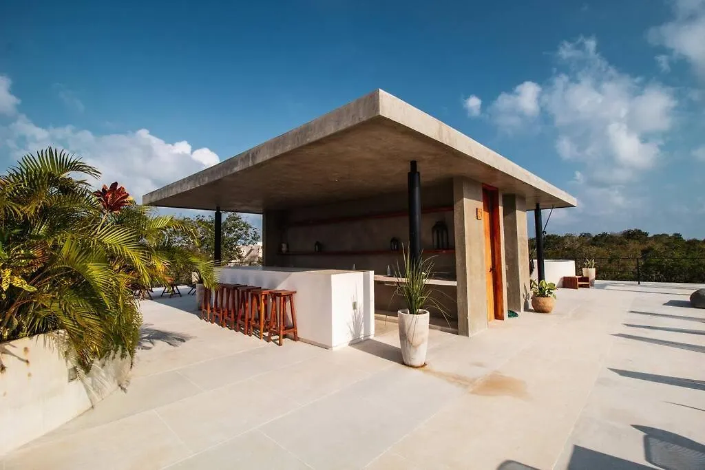 Cozy Studio In The Jungle With Private Pool Plunge Tulum Mexico