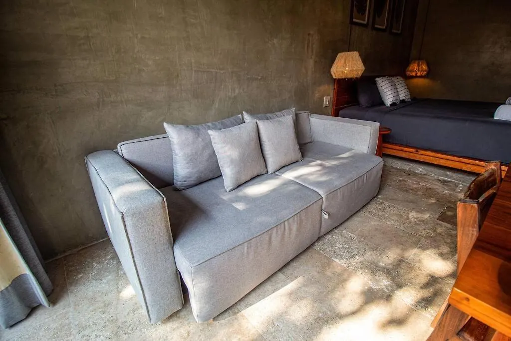 Apartment Cozy Studio In The Jungle With Private Pool Plunge Tulum Mexico