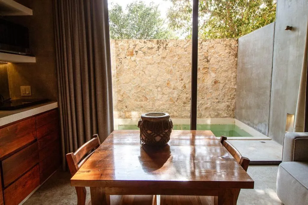 Apartment Cozy Studio In The Jungle With Private Pool Plunge Tulum Mexico