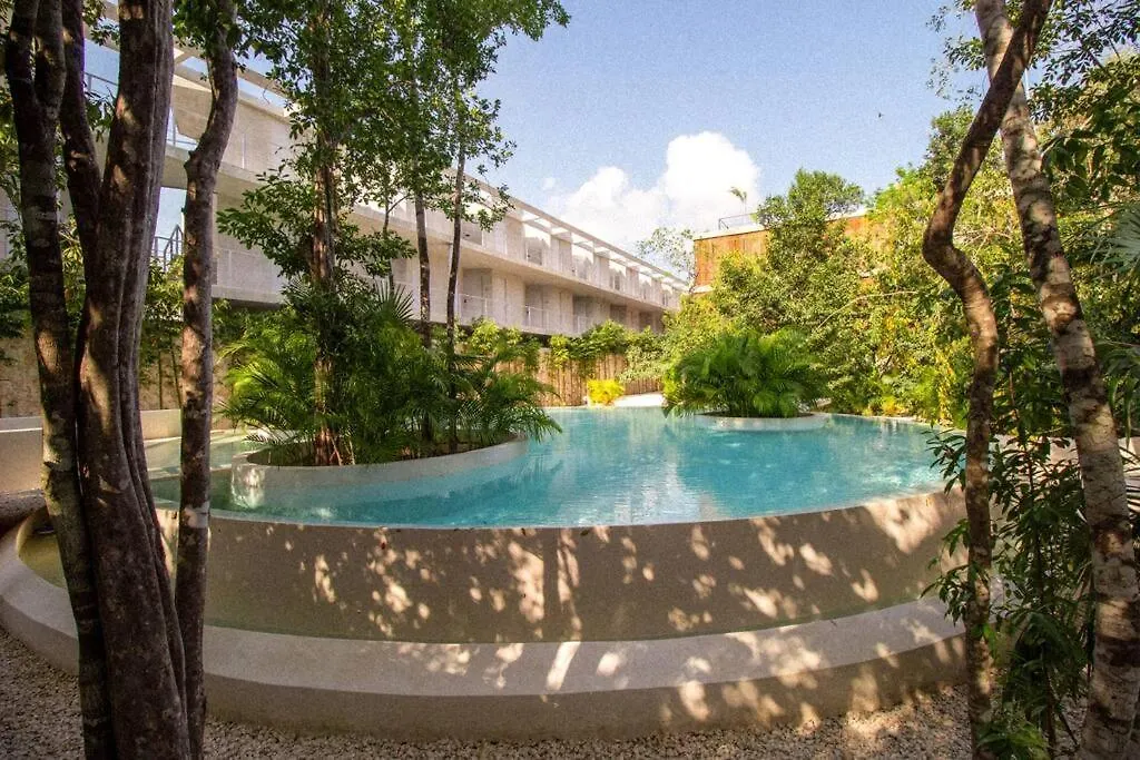 Cozy Studio In The Jungle With Private Pool Plunge Tulum Mexico