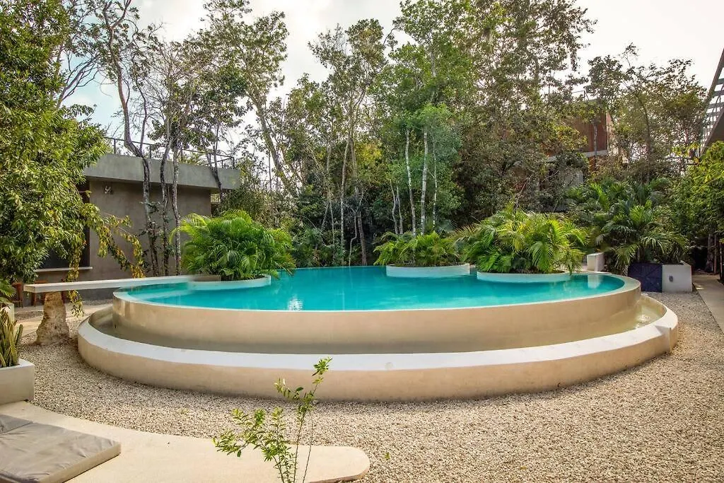 Cozy Studio In The Jungle With Private Pool Plunge Tulum Apartment