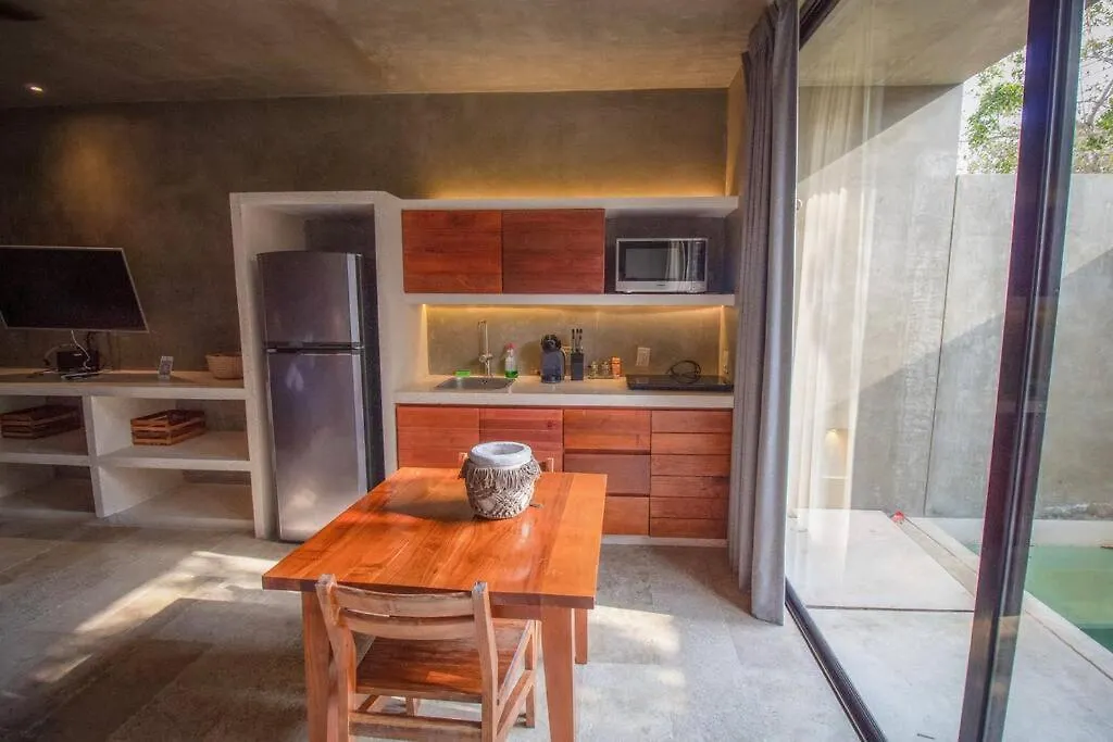 Apartment Cozy Studio In The Jungle With Private Pool Plunge Tulum
